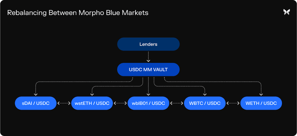 rebalancing-morpho